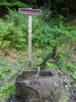 Rund ums Kleindenkmal