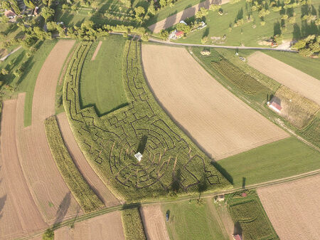 maislabyrinth