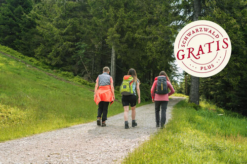 grosse-forellenhofrunde