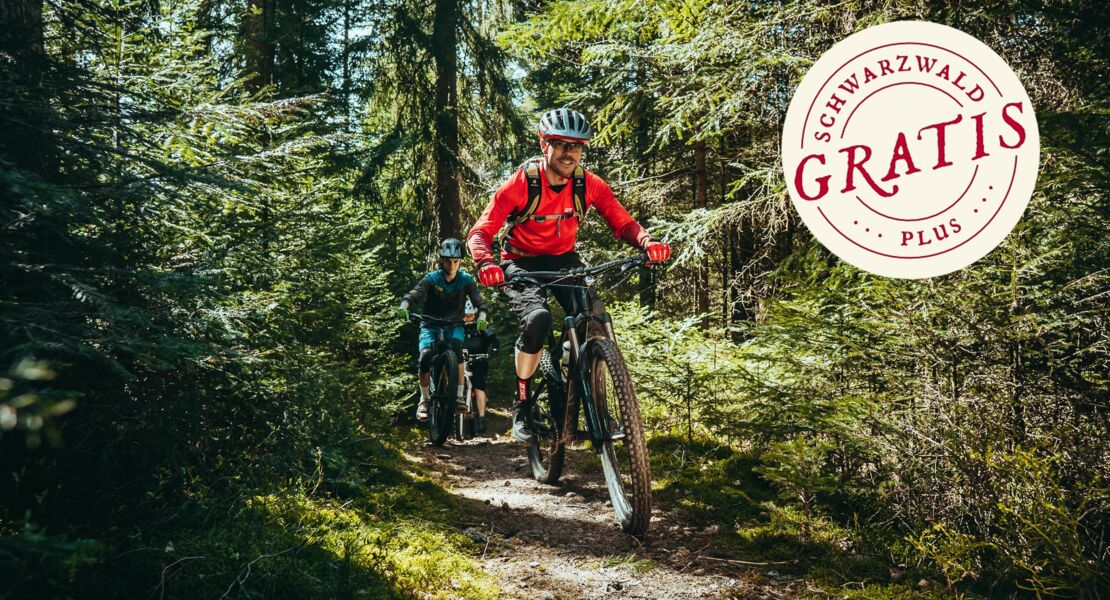 trail-herbstgenuss