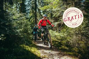 Trail Herbstgenuss