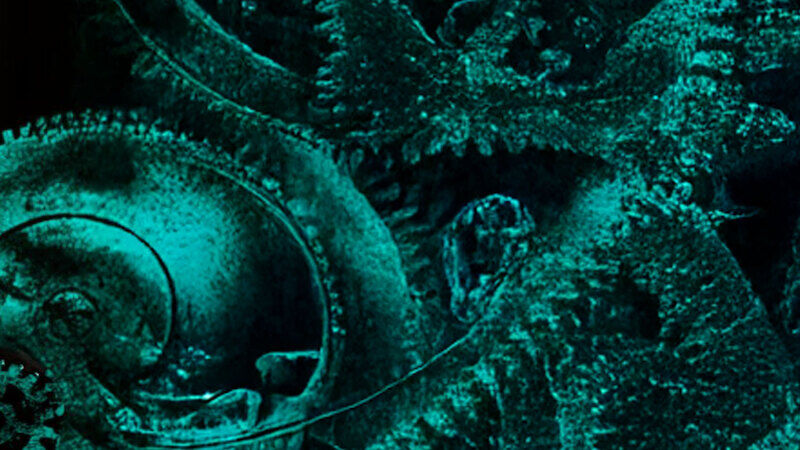 bassmachine-overdrive-bassmachine-overdrive