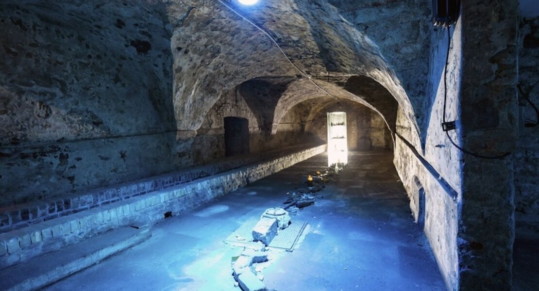 autorenforum-wolfgang-kubicki