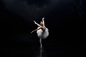 SCHWANENSEE - mit dem Royal Classical Ballet