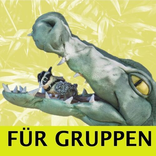 der-billabongkonig-gruppenvorstellung