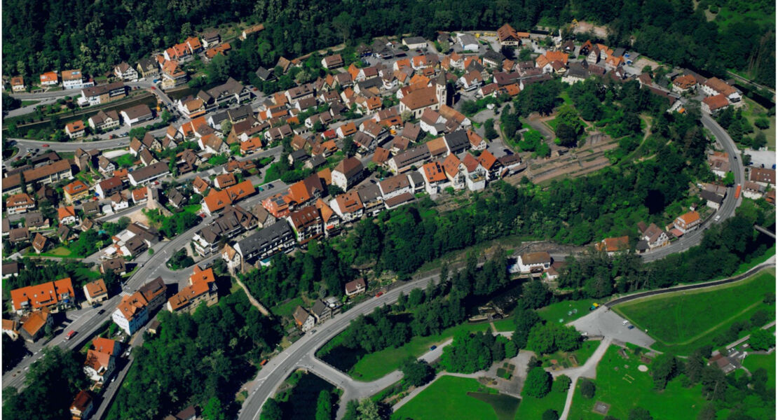 neuburgerwanderung-fuhrung-auf-dem-biodiversitatspfad