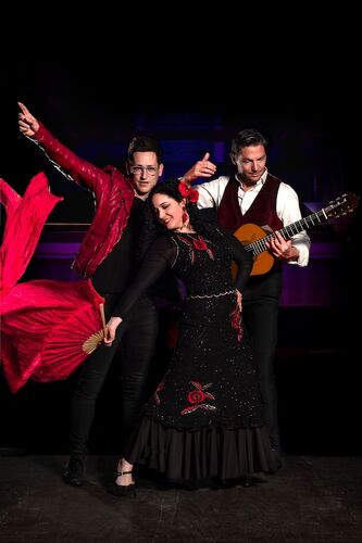 the-art-of-flamenco-flamenco-guitar-crossover