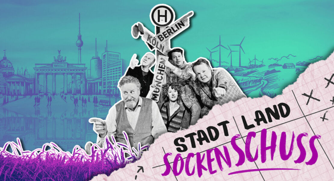 distel-stadt-land-sockenschuss