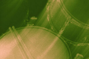 FLINTA* MUSIC LAB - DRUM WORKSHOP