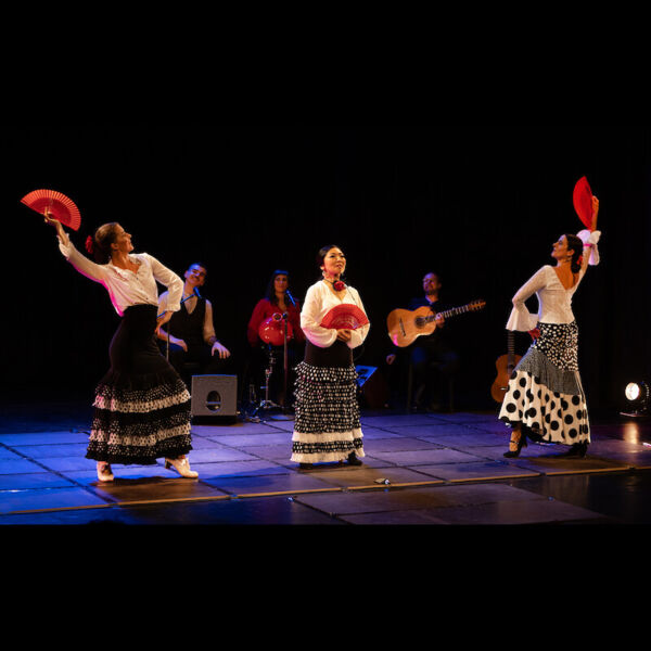 flamenco