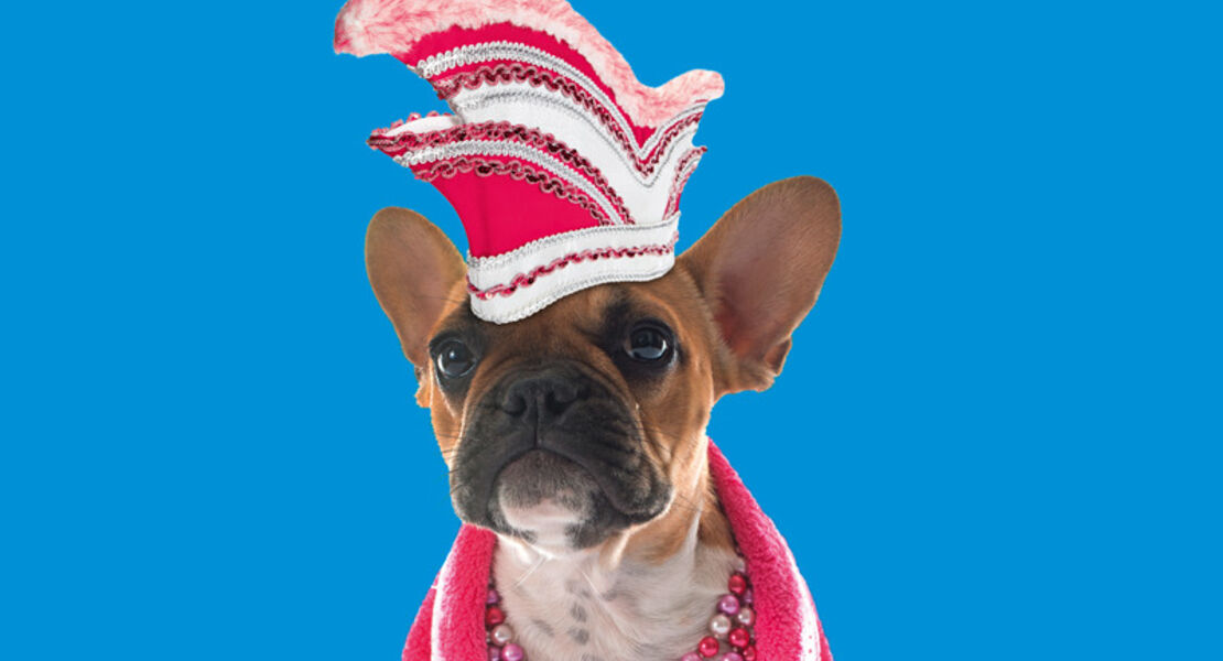 die-koln-show-jeder-mensch-kann-kolner-werden-in-nur-60-minuten