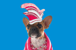 Die Köln-Show - Jeder Mensch kann Kölner werden - in nur 60 Minuten