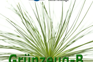 WS Faszination Grünzeug B - MIT  20 CEWE-GUTSCHEIN