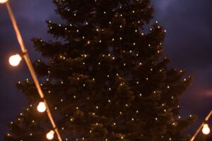 Weihnachtsmarkt unterm Lichterzelt