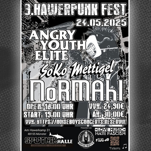 hawerpunk-3
