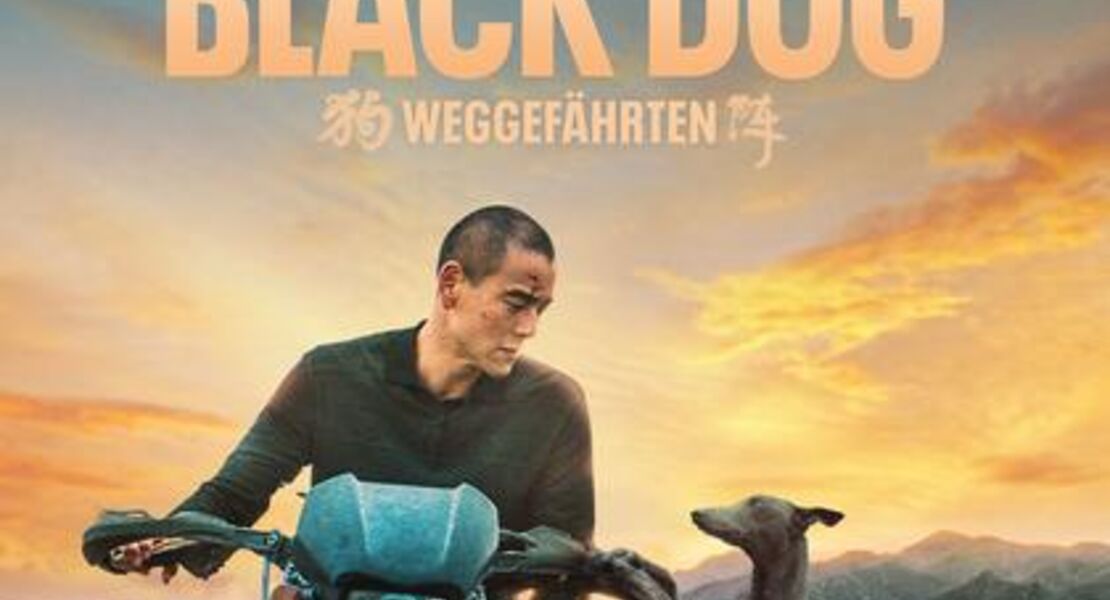 black-dog-weggefahrten