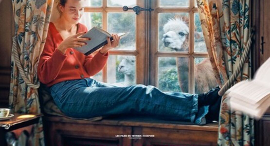 jane-austen-und-das-chaos-in-meinem-leben