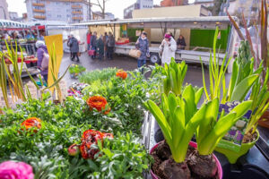 Wochenmarkt