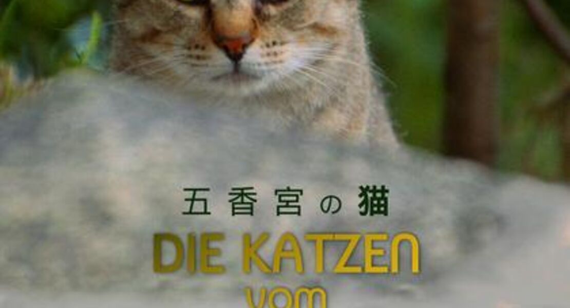 die-katzen-vom-gokogu-schrein