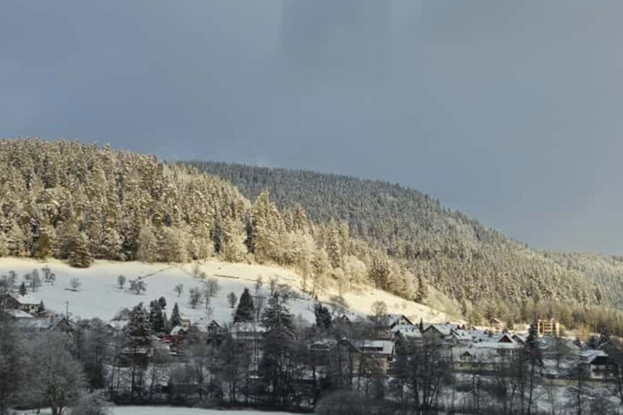 romantische-waldweihnacht-auf-der-erdbeerplatte