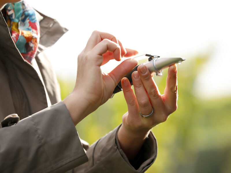 weinwanderung-nachhaltig-und-innovativ