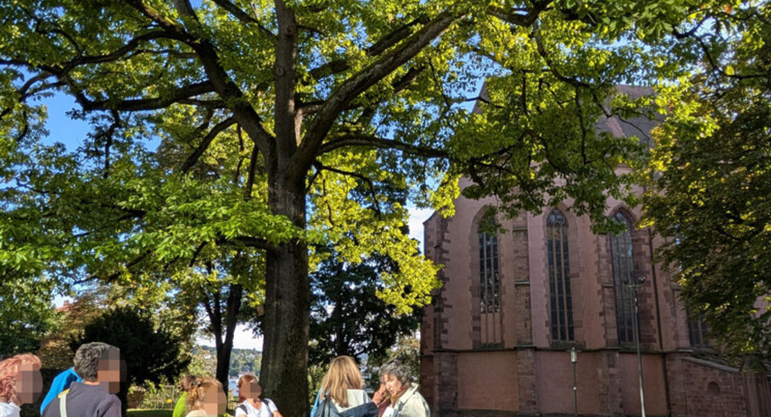 aktion-allesgeht-pforzheim-klimaspaziergang