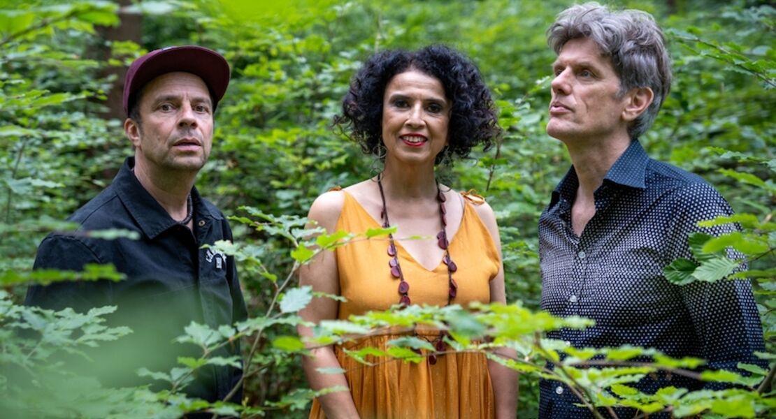 paula-morelenbaums-bossarenova-trio-levitar