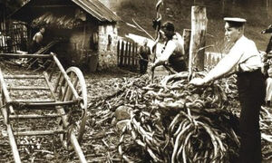 Wiedendrehen am Wiedenofen mit Grillen im Rohnbachtal