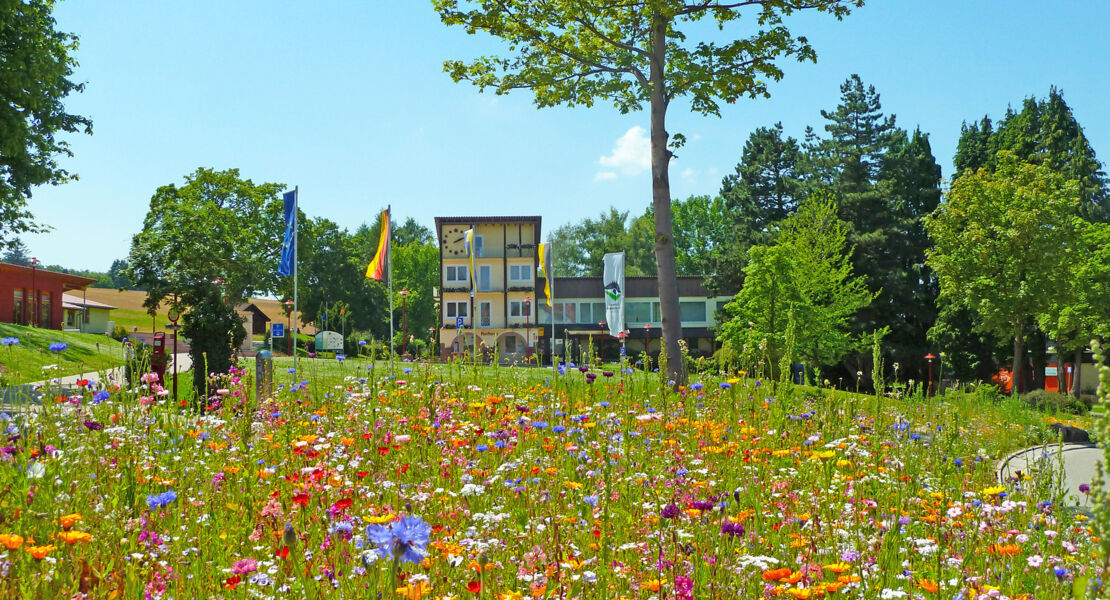 sonneninsel-steetfood-sommer-5-maiwochenende-mit-crazy-foods