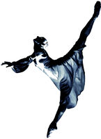 Benedict Manniegel Ballet School - Benedict Manniegel Ballet Academy - Kleine Schritte - Große Sprünge!