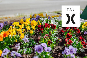 Garten-Sprechstunden mit SWR4 Gartenexperte Volker Kugel