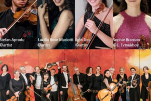 Internationales Festival junger Meister - Violinfestival 2026 - Südwestdeutsches Kammerorchester Pforzheim