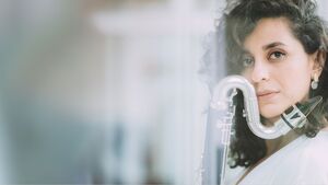 Shabnam Parvaresh: Navigating the Divide