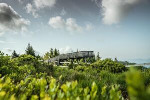 Natur als Krisencoach