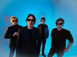 BUZZCOCKS - Germany 2026