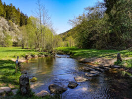 Innehalten in Bewegung