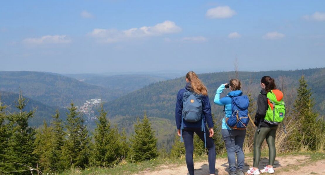 sportliche-wanderung-bernbach-burbach-marxzell