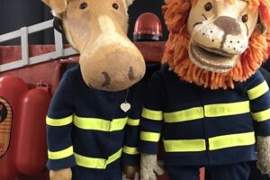 Finn, der Feuerwehrelch - nach dem Bilderbuch von Sharon Rentta