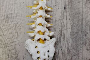 Rückengesundheit mit Dorn-Breuß