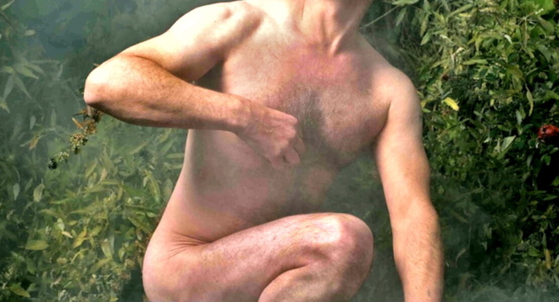 uli-boettcher-u50-silberrucken-im-nebel