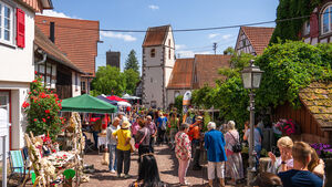 Jubiläums-Naturpark-Markt