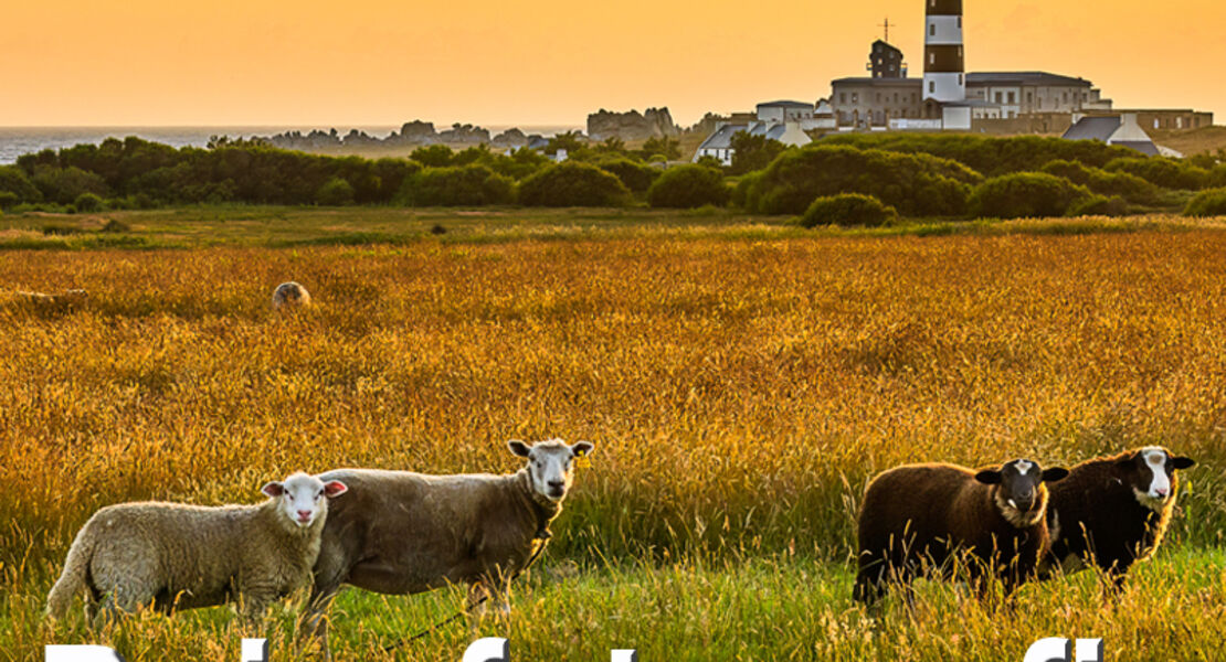 sem-professionelle-reisefotografie