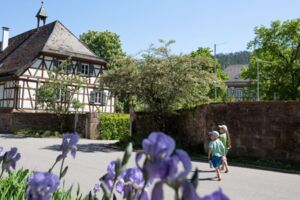 Tag des offenen Denkmals / Herbstfest / Heimatmuseum / KIosteranlage Wildberg
