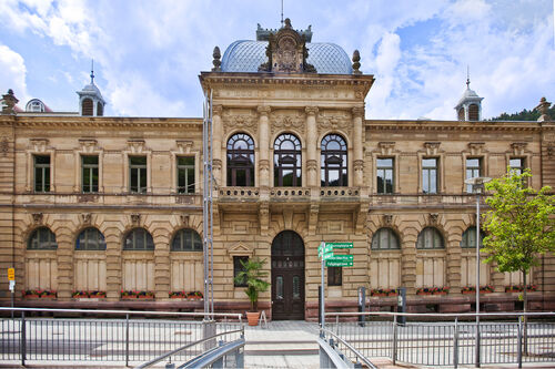 kiwi-kino