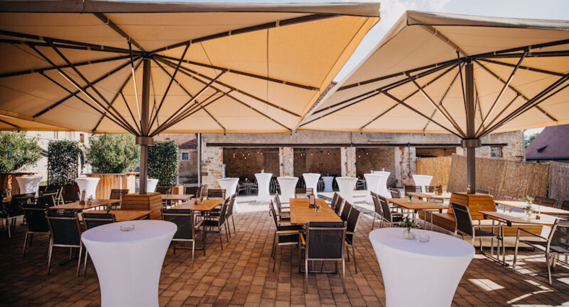 mozartfest-sommer-bbq-exklusiver-auftakt-zum-konzert-des-ukulele-orchestra-of-great-britain