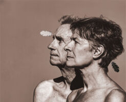 Faltsch Wagoni - Die letzten Ironesen