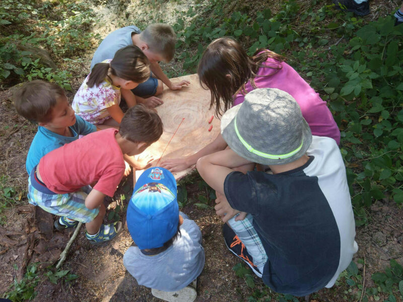waldabenteuer-mit-dem-holzfaller
