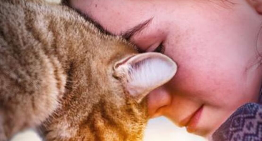 lou-abenteuer-auf-samtpfoten