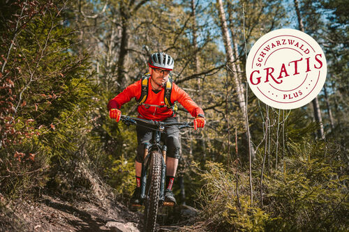 jede-menge-trails-im-oberen-murgtal