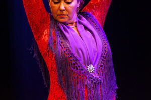 Entre tres Flamencos - Flamenco in Tanz, Musik und Gesang